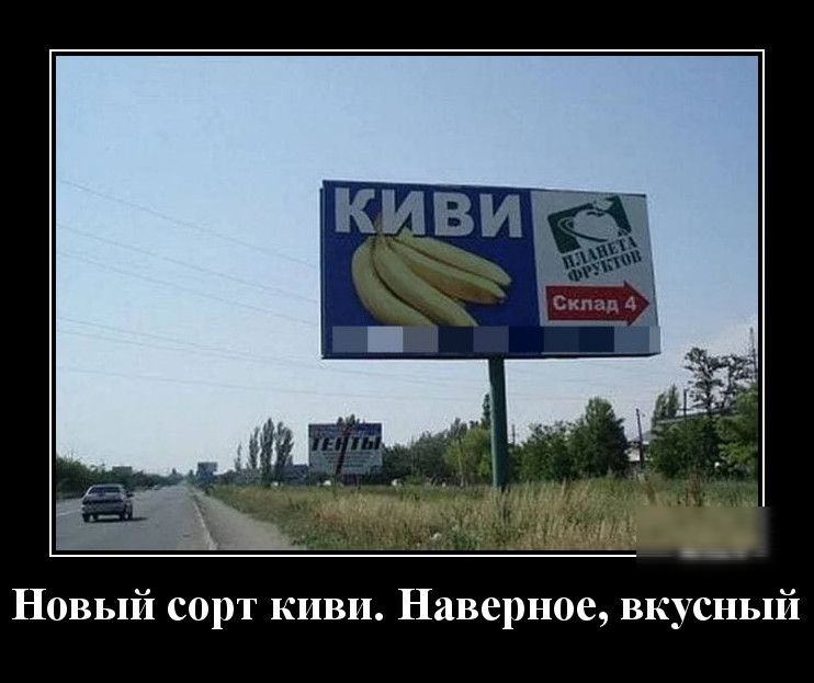 Новый сорт киви Наверное вкусный