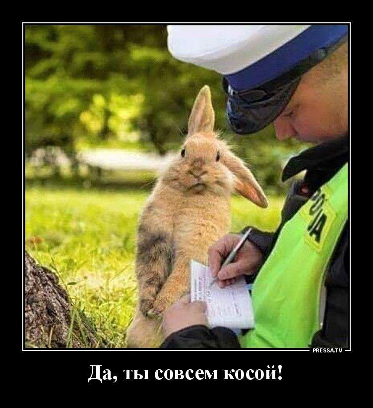 тззми Да ты совсем косой