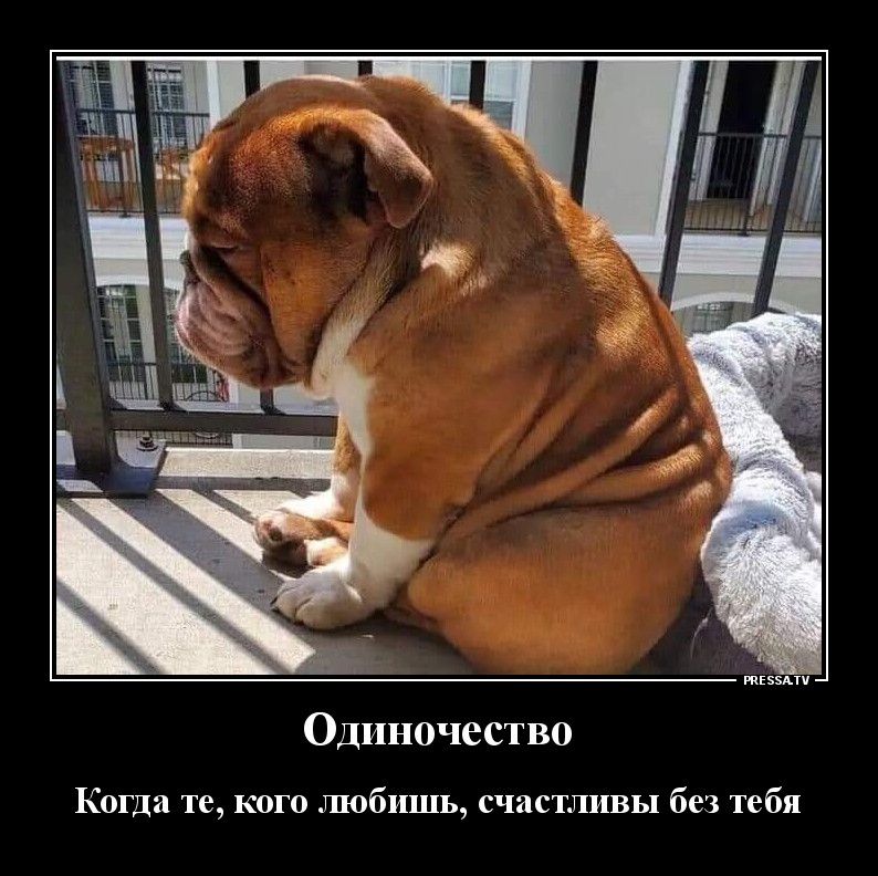 тзши Одиночество Когда те кого любишь счастливы без тебя