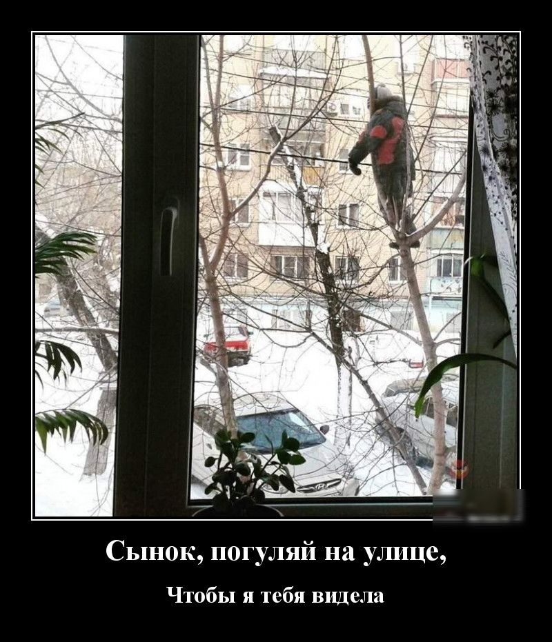 Сынок погуляй на улице Чтобы я тебя видела