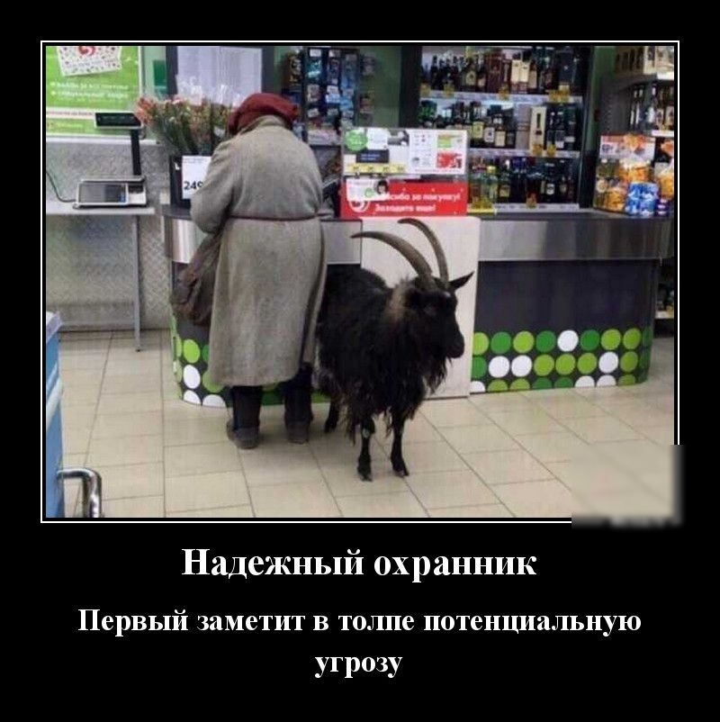Надежный охранник Первый заметит в толпе потенциальную угрозу
