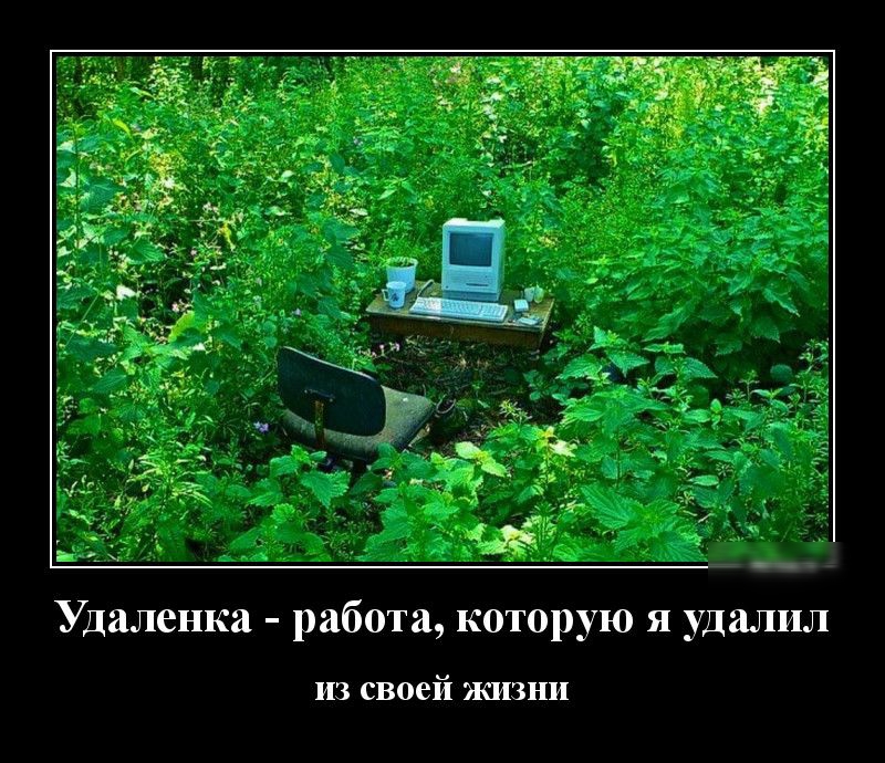 Удаленка работа которую я удалил из своей жизни