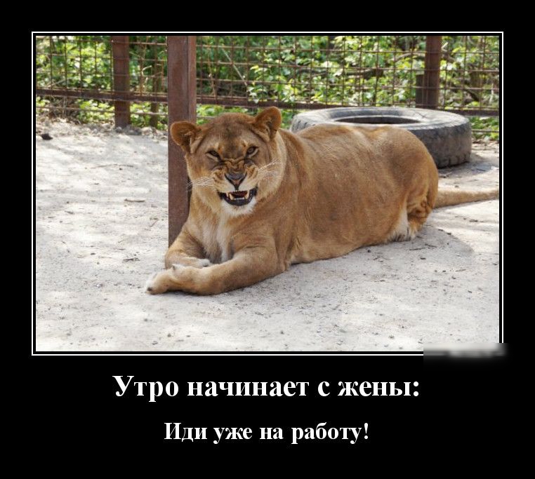 Утро начинает с жены Иди уже на работу