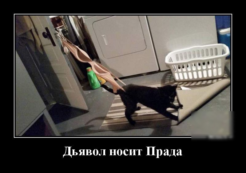 Дьявол носит Прада