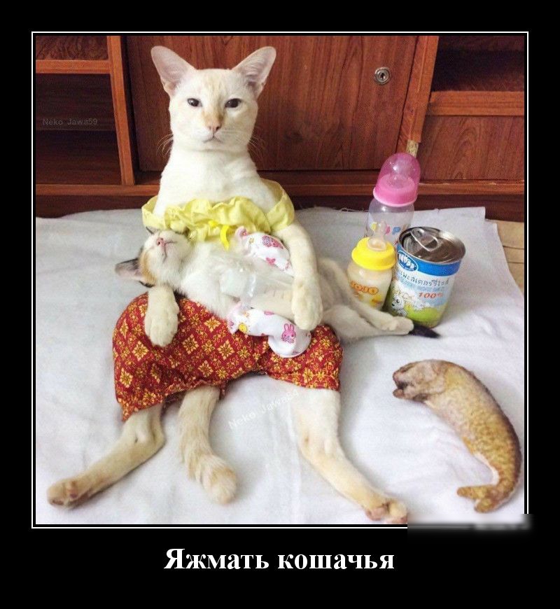 Я Ь ш 0 К ь и м ж Я