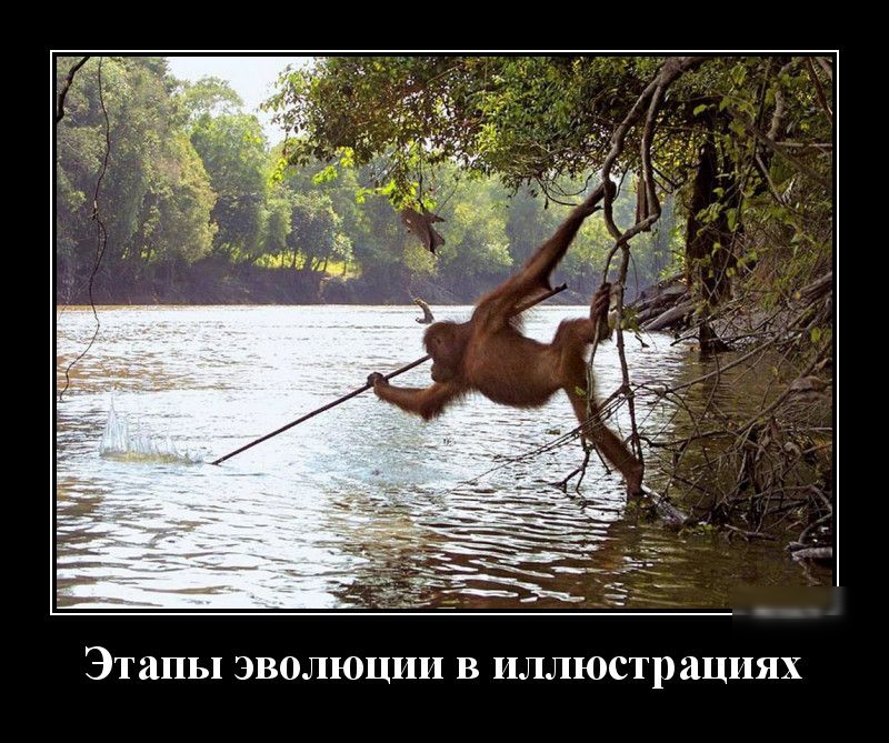 Этапы ЭВОЛЮЦИИ В ИЛЛЮСТраЦИЯХ