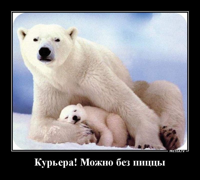 тззми Курьера Можно без ШЩЦЫ