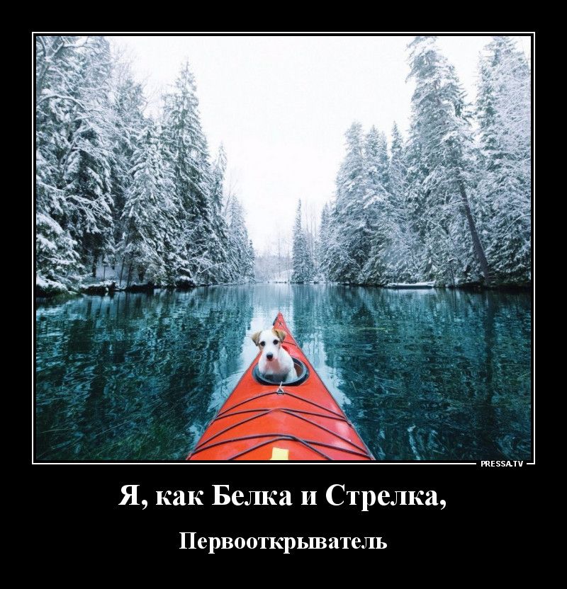 тЕээАтч Я как Белка и Стрелка Первооткрыватель