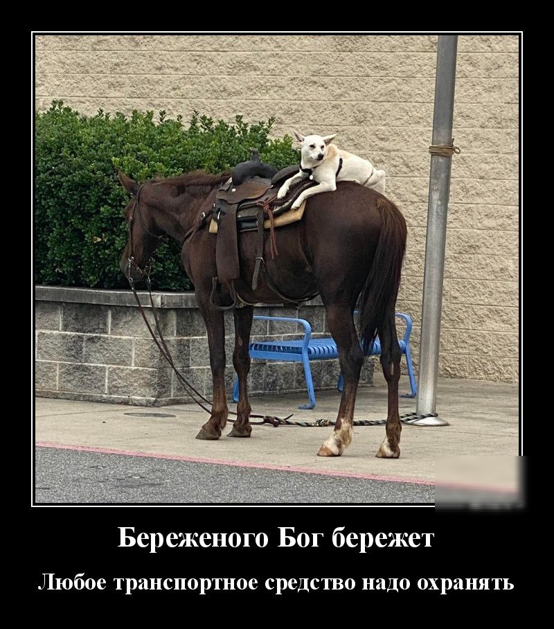 Береженого Бог бережет Любое транспортное средство надо охранять