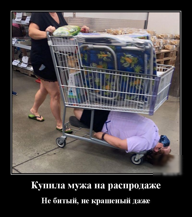 Купила мужа на распродаже Не битый не крашеный Даже