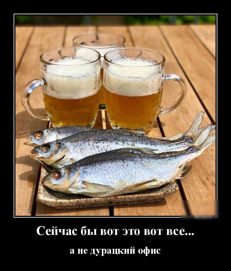 Сейчас бы вот это вот все а не дурацкий офис