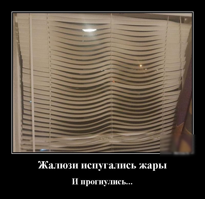 Жалюзи испугались жары И прогнулпсь