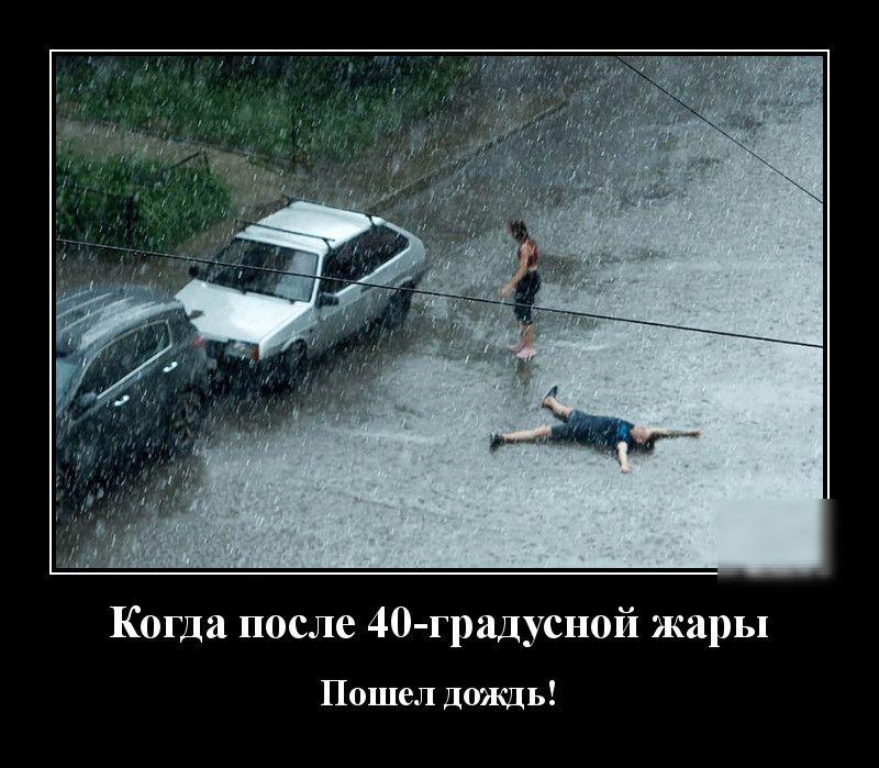 Когда после 40 градусн0й жары Пошел дождь