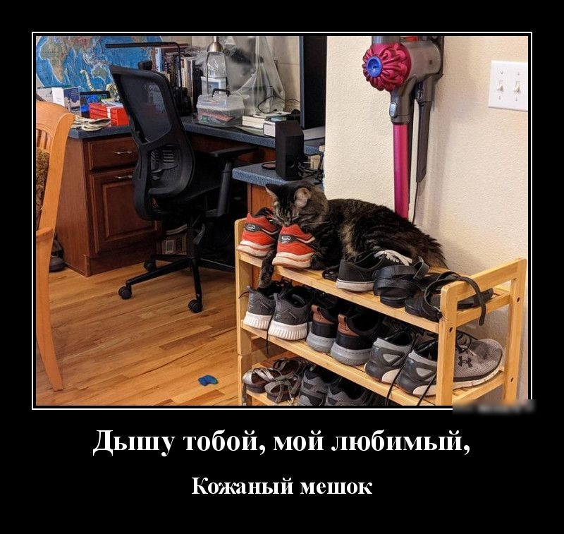 Дышу тобой мой любимый Кожаный мешок