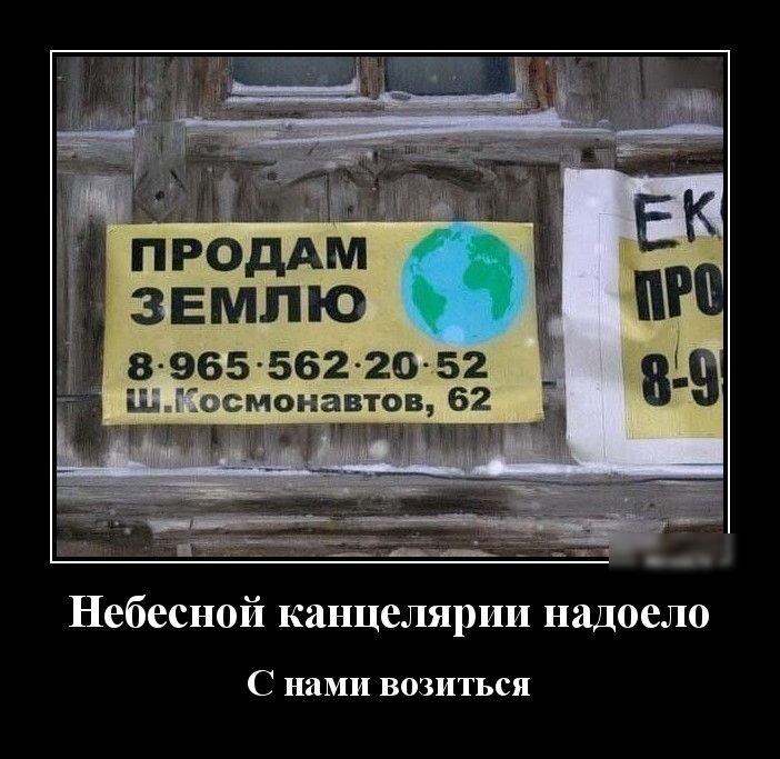 рпродАм 3Емпю 8965 562 20 52 момавтощ 62 Китти я щптп Небесной канцелярии надоело С нами возиться