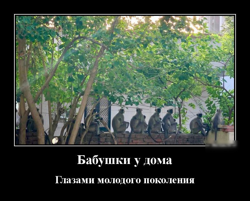 Бабушки у дома Глазами МОЛОДОГО ПОКОЛЭНИЯ