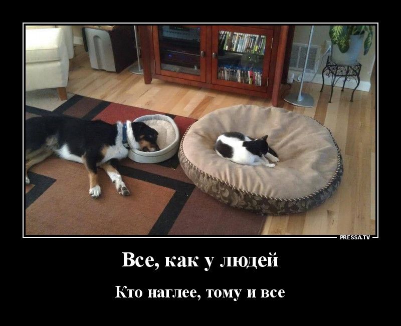 иЕэзАп Все как у людей КТО наглее Тому И все
