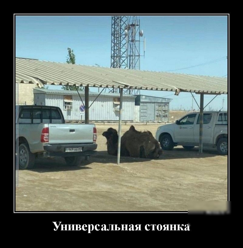 Универсальная стоянка