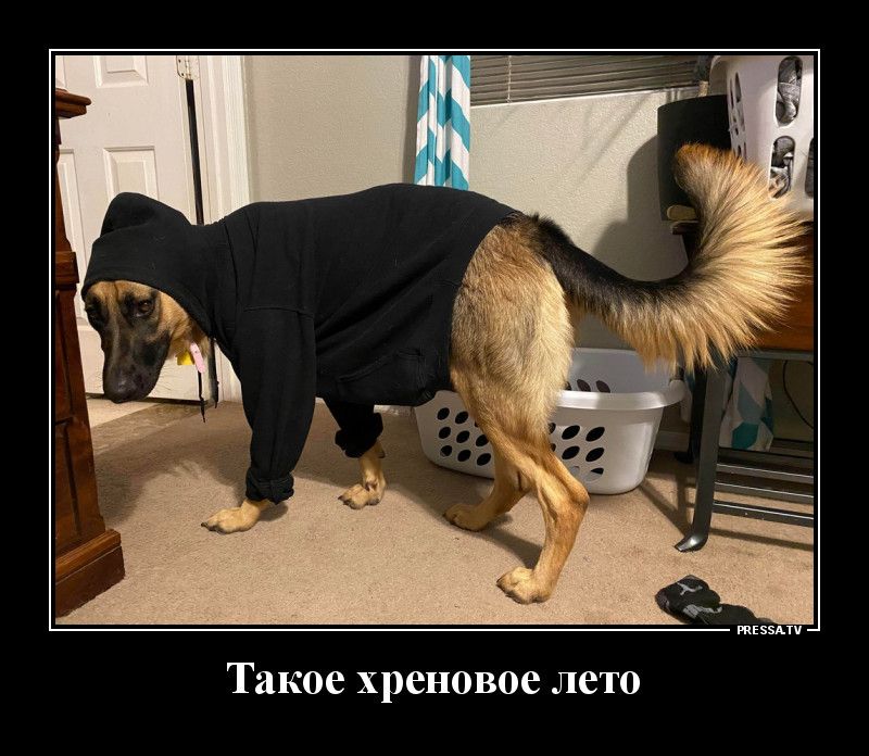 жизни Такое хреновое лето