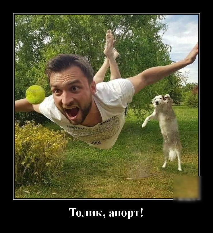 Толик апорт