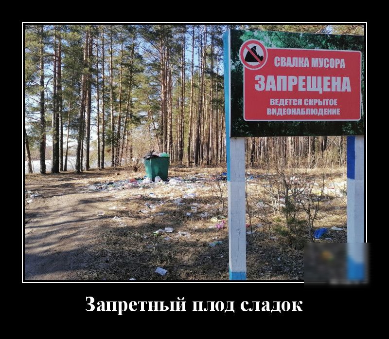 4 МЦ Запретный плод сладок