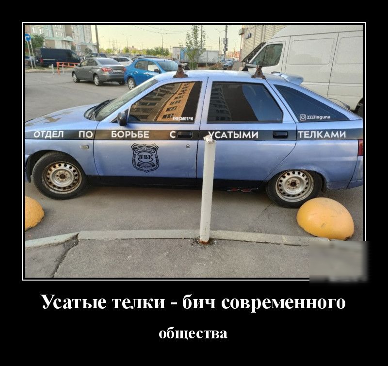 Усатые телки бич современного общества