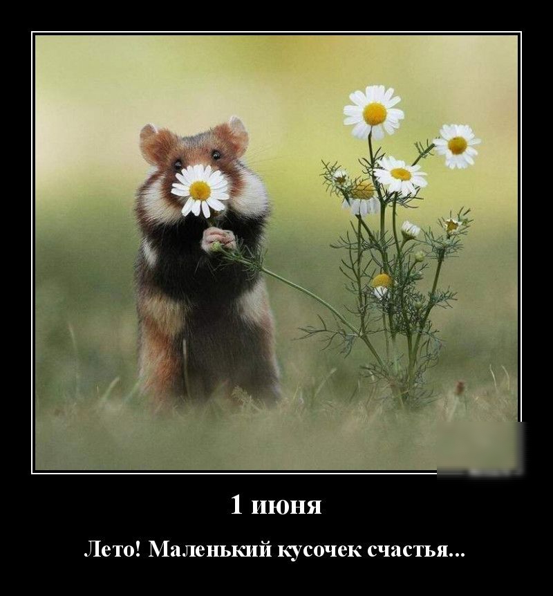 1 июня Лето Маленький кусочек счастья