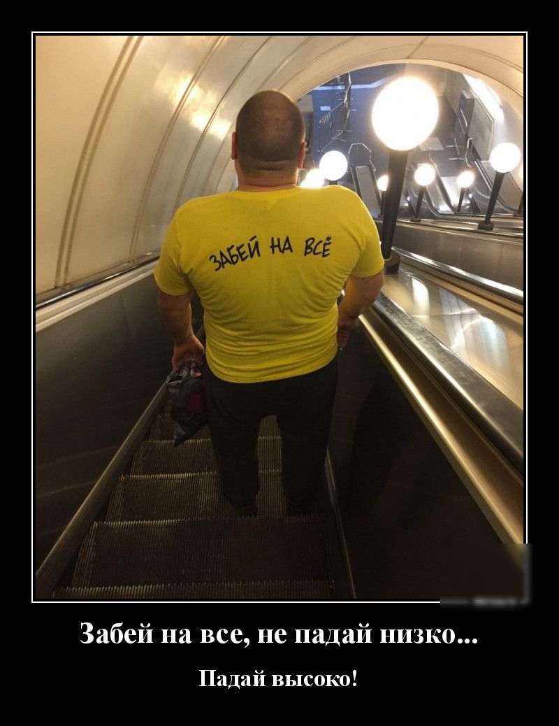 Забей на все не падай низко Падай высоко