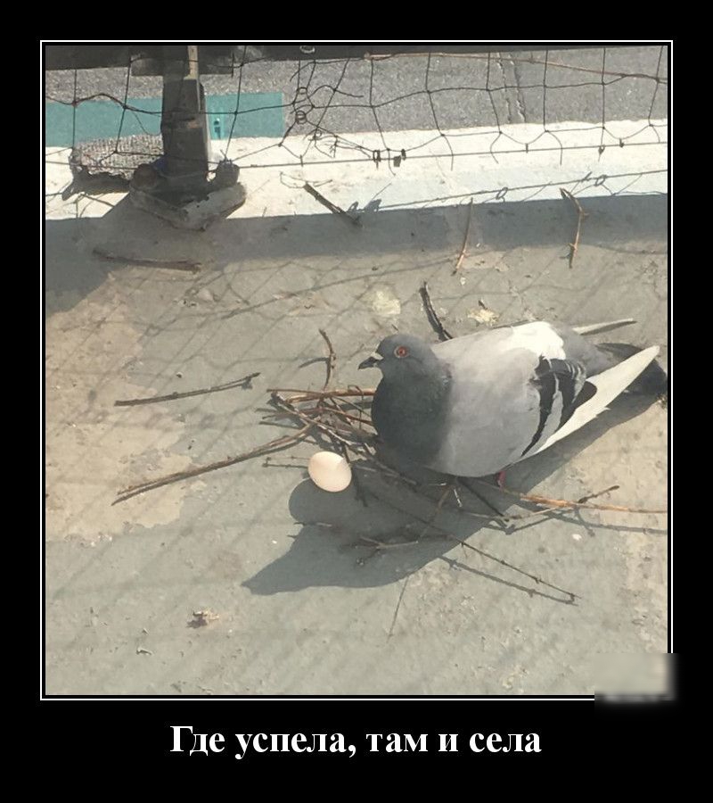 Где успела там и села