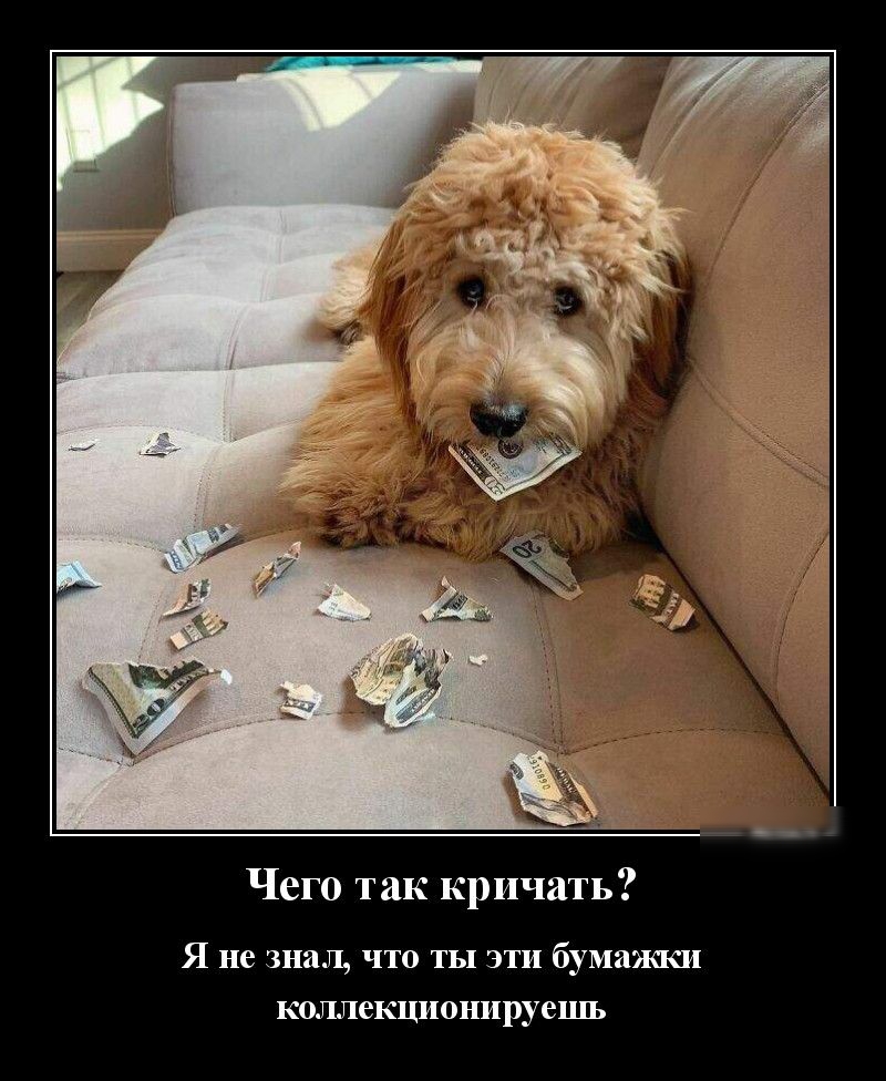 Чего так кричать Я не знал ЧТО ТЫ ЭТИ бУМДЯПСИ КОЛЛ6КЦИ0НИРУС1ПЬ