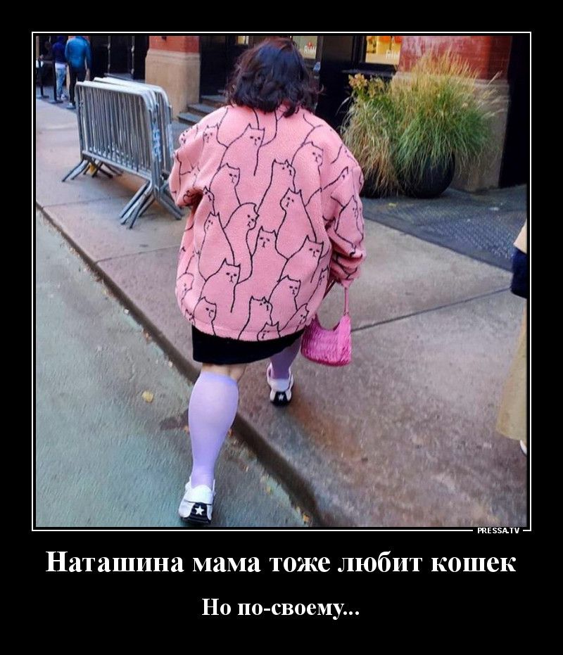 тззми Наташина мама тоже любит кошек Но по своему