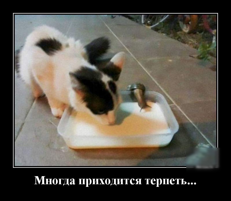 Многда ПРИХОДИТСЯ терпеть