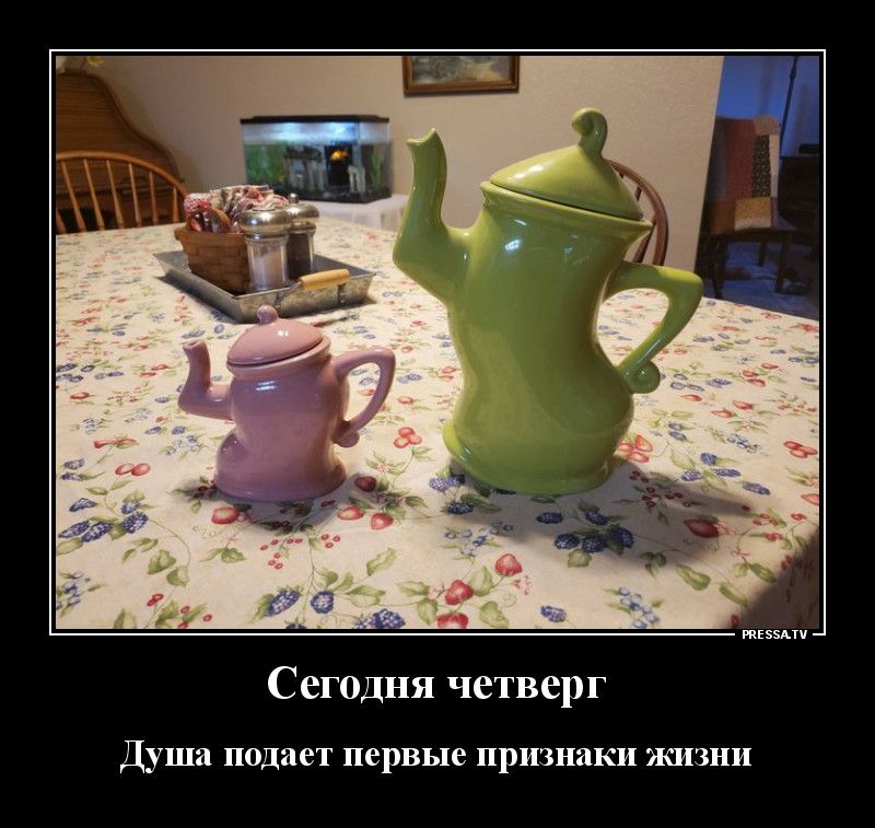 жизни Сегодня четверг Душа подает первые признаки жизни