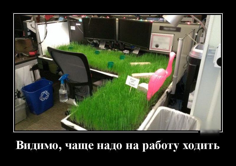 Видимо чаще надо на работу ходить