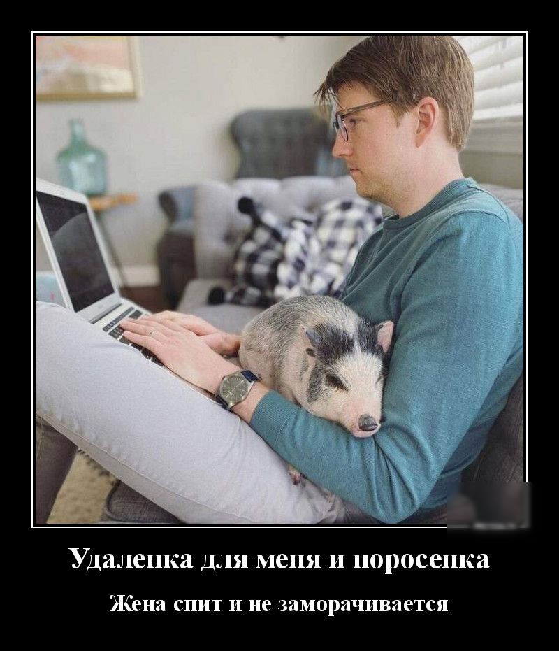 Удаленка ДЛЯ меня И поросенка Жена спит и не заморачивается