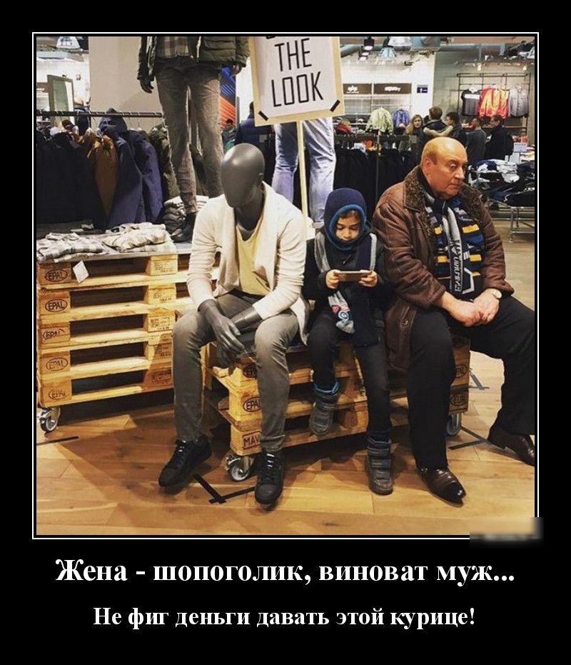 Жена шопоголик виноват муж Не фиг Деньги Давать этой курице