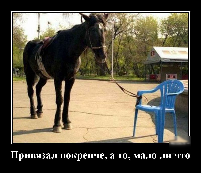 Привязал покрепче а то мало ли что