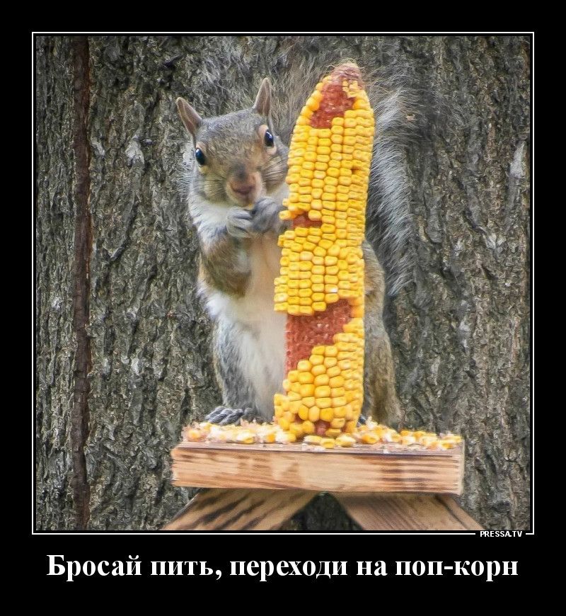 твц Бросай пить переходи на поп корн