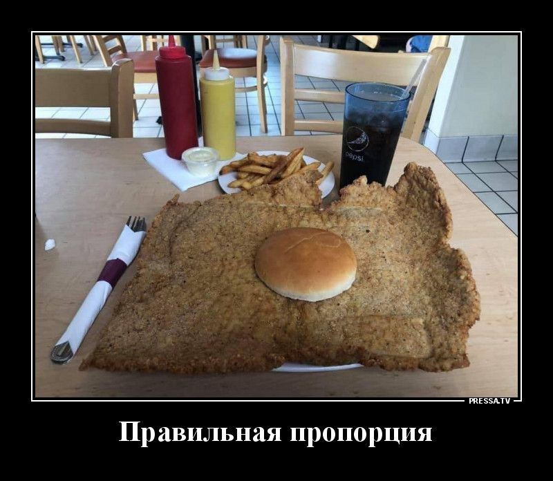 тззмч Правильная пропорция