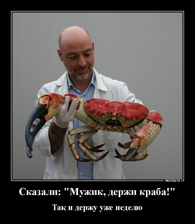 мазь Сказали Мужик держи краба Так и держу уже неделю