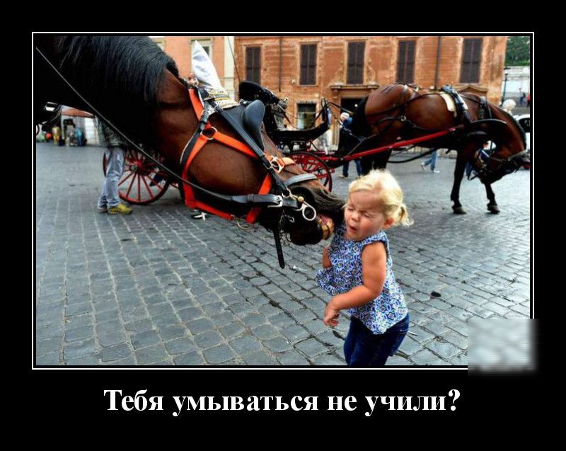 Тебя умываться не учили