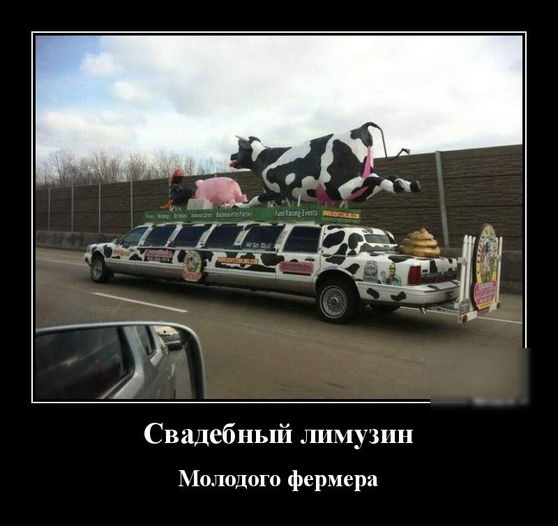 Свадебный лимузин Молодого фермера