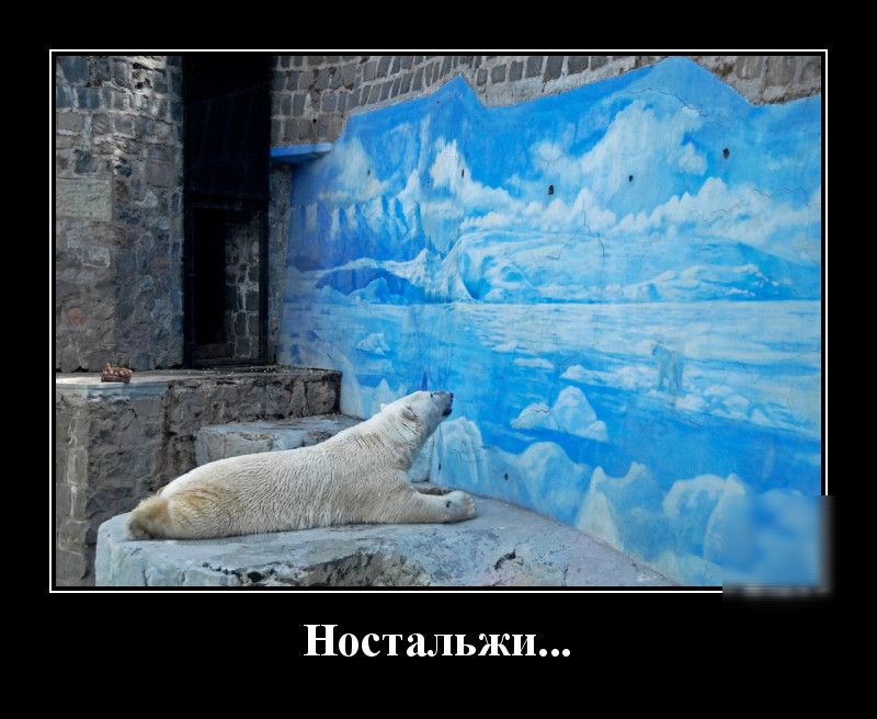 Ностальжи