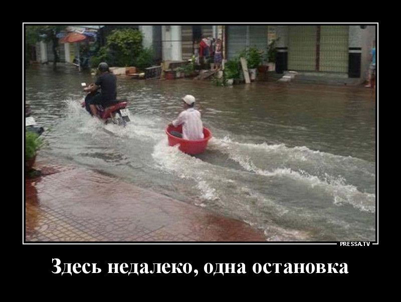 тззми Здесь недалеко одна остановка