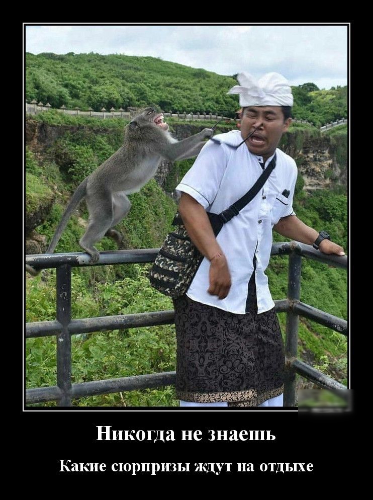 Никогда не знаешь Какие сюрпризы ждут на отдыхе
