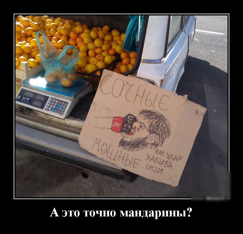 А это точно мандарины