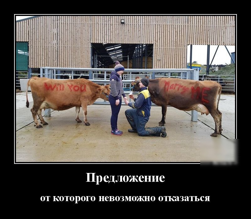 Предложение ОТ КОТОРОГО невозможно ОТКИЗИТЬСЯ