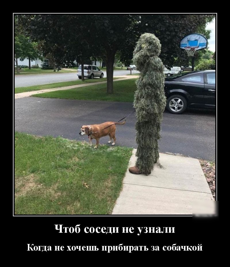 Чтоб соседи не узнали Когда не хочешь прибирать за собачкой