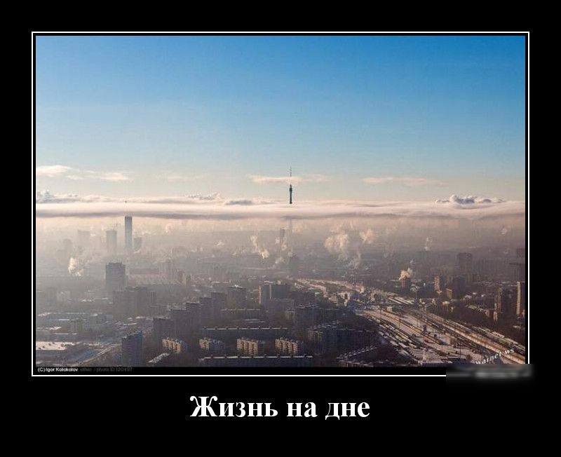 Жизнь на дне