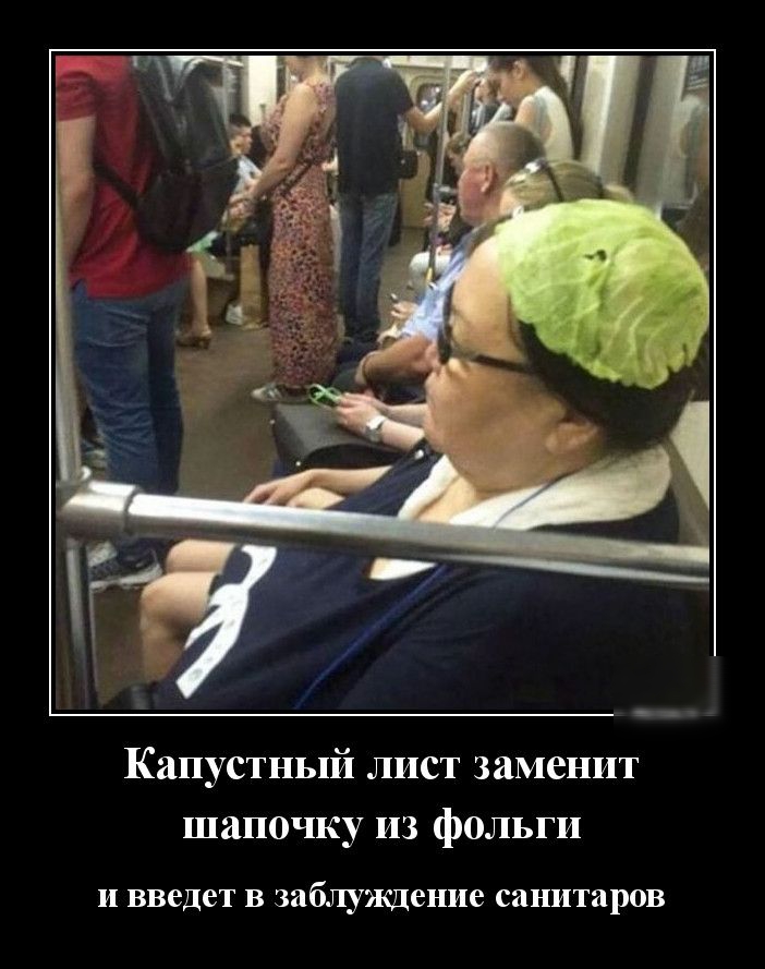Капустный лист заменит шапочку из фольги И введет В заблуждение санитаров